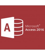 Microsoft Project Professional 2021, 32/64 bit, Toate limbile, Licenta electronica pentru Windows