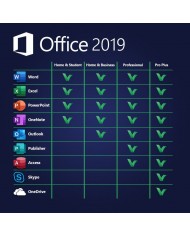Microsoft Office 2019 Professional Plus, 32/64 bit, Toate limbile, Licenta electronica - Redeem
